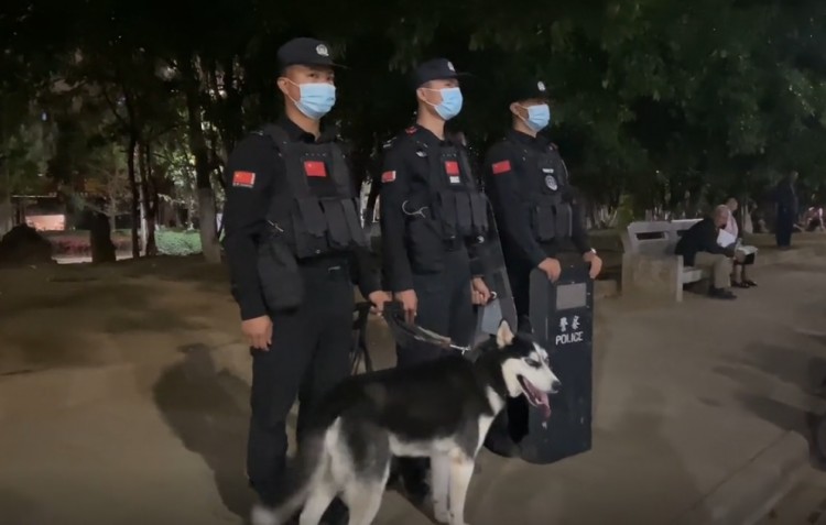 哈士奇被训练成警犬，为了不上班，他离家出走