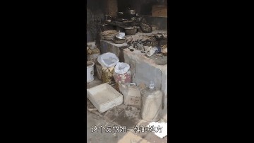 我真好命！下班路上一口气捡了七只品种猫！