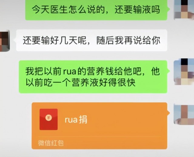 你以为你救助的猫咪正在被爱心喂养吗揭秘黑心云救助